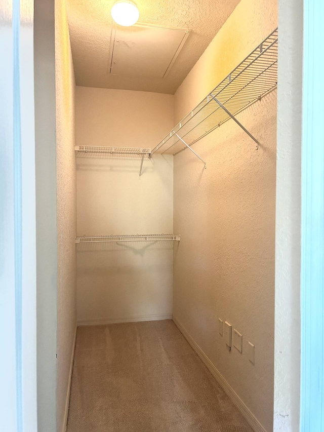 spacious closet with carpet