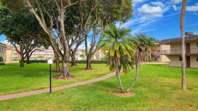 view of community with a yard