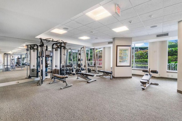 exercise room with plenty of natural light, carpet floors, and a drop ceiling