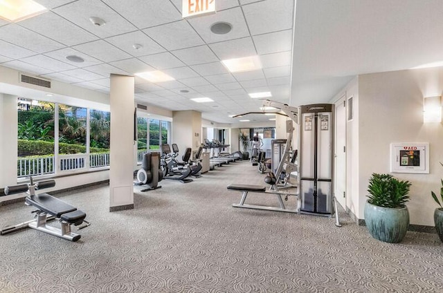 workout area featuring carpet