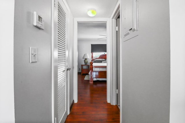 corridor featuring dark hardwood / wood-style floors