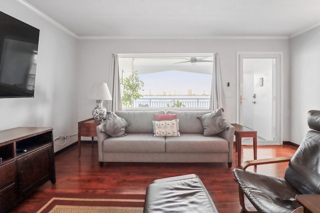 living room featuring ornamental molding and dark wood-type flooring