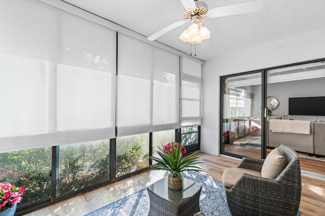 sunroom / solarium featuring ceiling fan and a healthy amount of sunlight