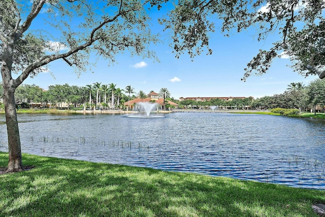 property view of water