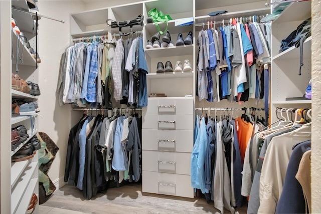 spacious closet with light hardwood / wood-style flooring