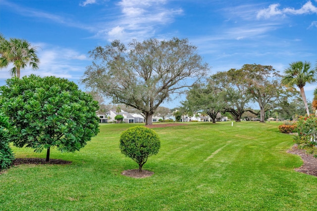 view of yard