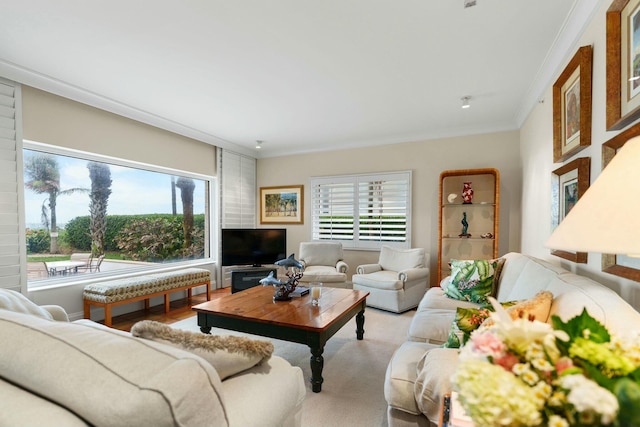 living room with a healthy amount of sunlight and crown molding