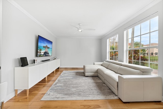 living room featuring ceiling fan, light hardwood / wood-style flooring, and crown molding