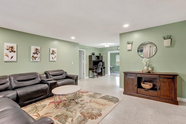 living room with a textured ceiling