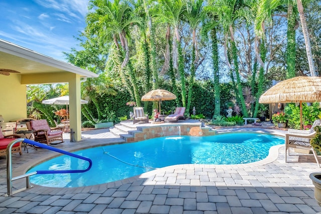 view of swimming pool with a patio