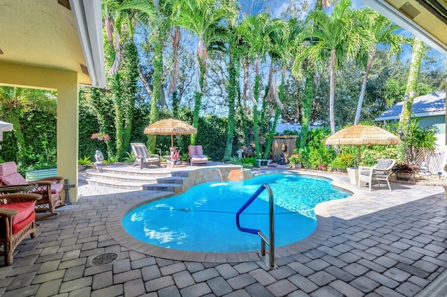 view of swimming pool with a patio area and pool water feature