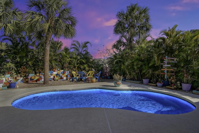 pool at dusk with a patio