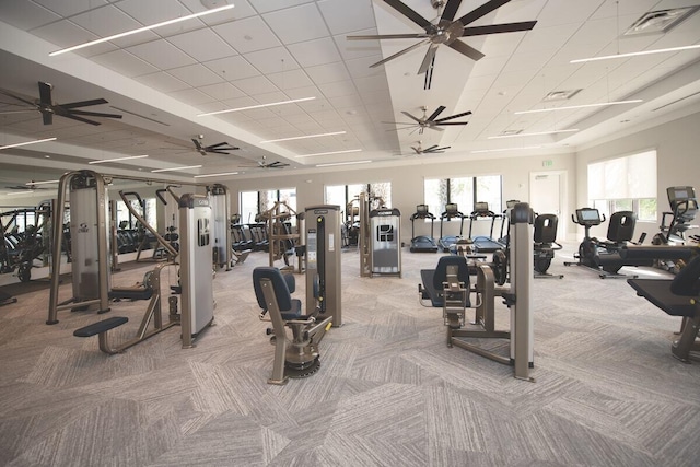 gym with carpet floors and a paneled ceiling