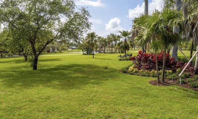 view of home's community featuring a lawn