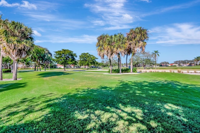 view of community featuring a yard