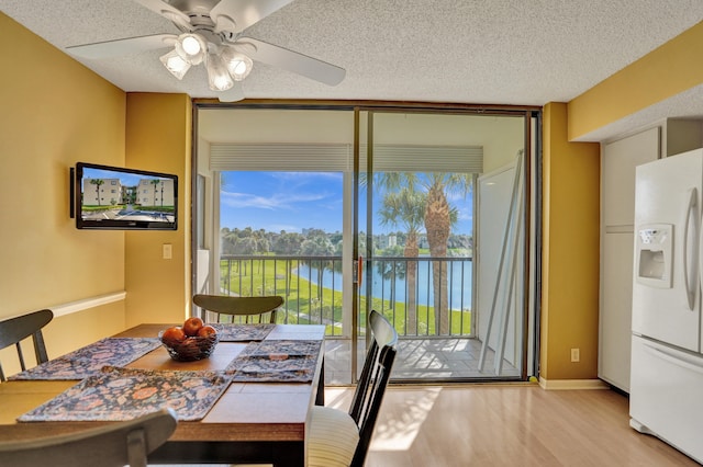 dining space featuring ceiling fan, light hardwood / wood-style floors, and a textured ceiling