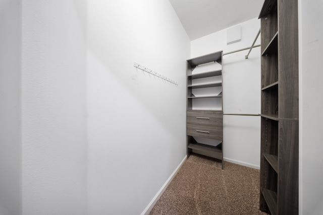 spacious closet with dark colored carpet