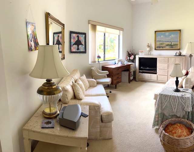 living room featuring light colored carpet