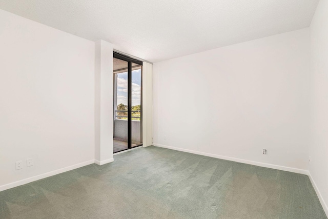 carpeted spare room with a textured ceiling and a wall of windows