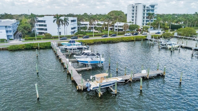 dock area with a water view