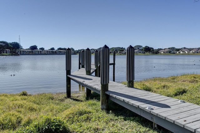 dock area with a water view