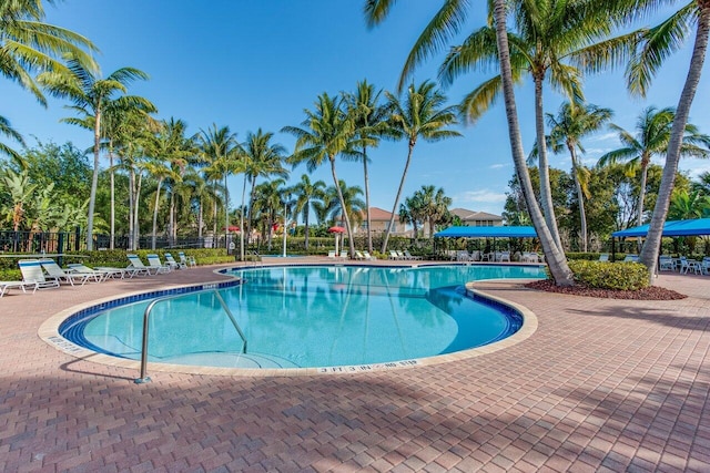 view of swimming pool featuring a patio