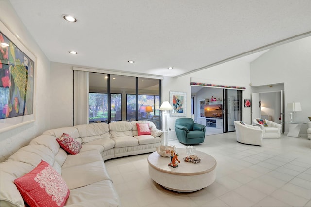 living room featuring vaulted ceiling