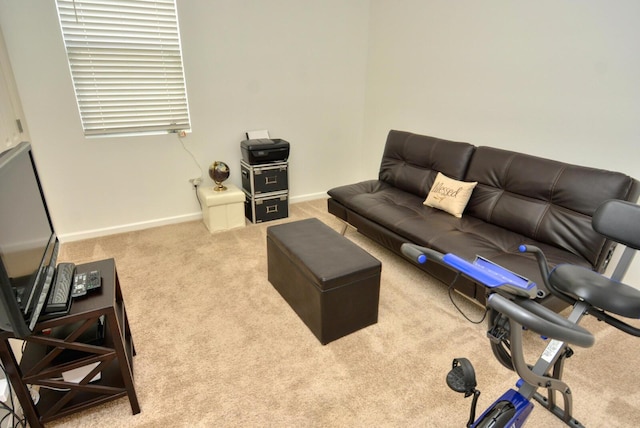 view of carpeted living room