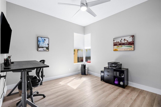 office with ceiling fan and light hardwood / wood-style flooring