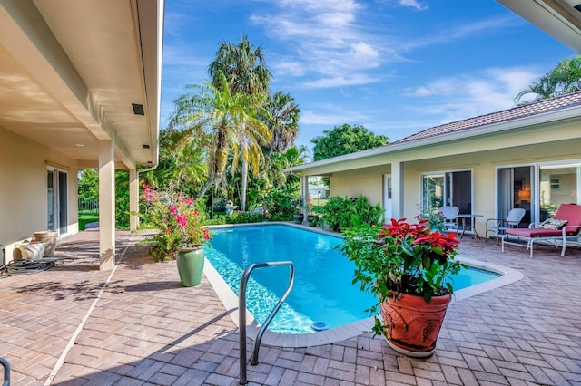 view of swimming pool with a patio