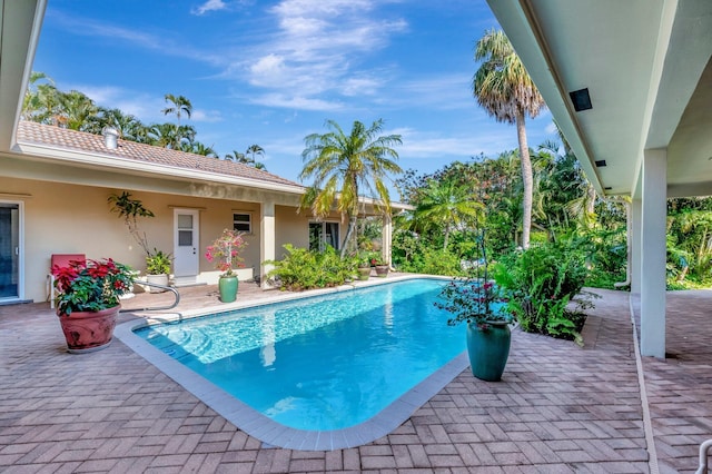 view of swimming pool with a patio area