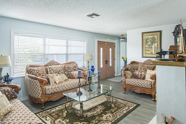 living room featuring hardwood / wood-style floors, a textured ceiling, and a wealth of natural light