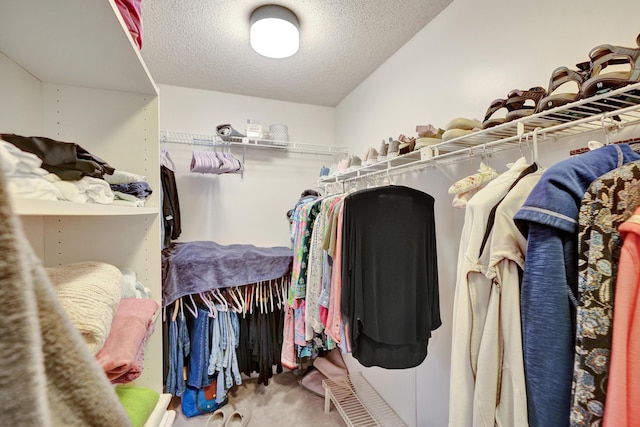 spacious closet with carpet flooring