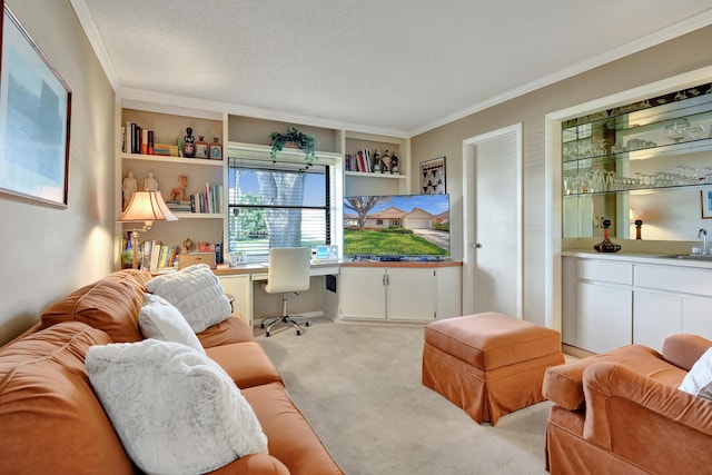 office with sink, built in shelves, built in desk, ornamental molding, and light colored carpet