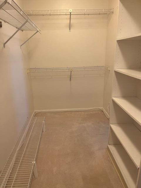 17001 Freshwind Cir, Jupiter, FL 33477 - spacious closet featuring carpet flooring