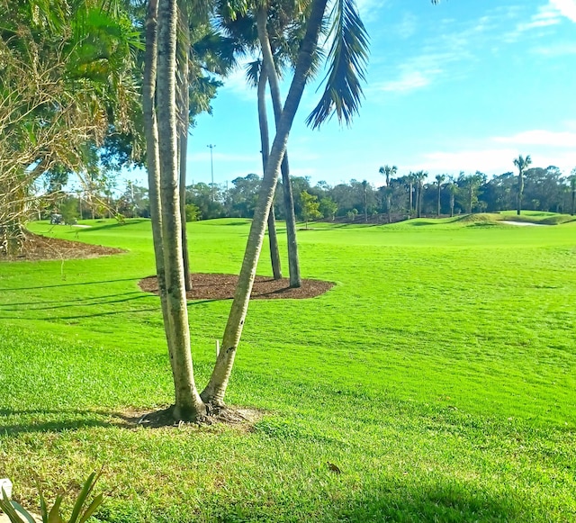 view of property's community with a lawn