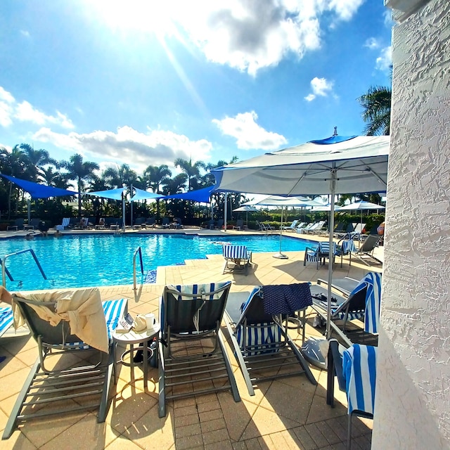 view of pool featuring a patio