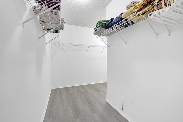 walk in closet with hardwood / wood-style floors