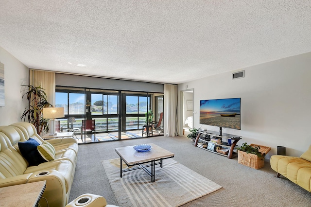 carpeted living room featuring a textured ceiling