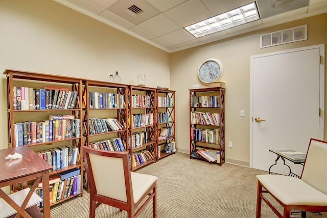 living area featuring carpet flooring and crown molding