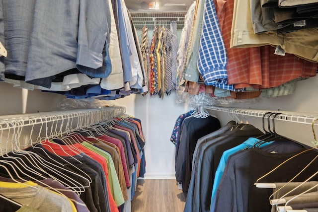 spacious closet with hardwood / wood-style floors