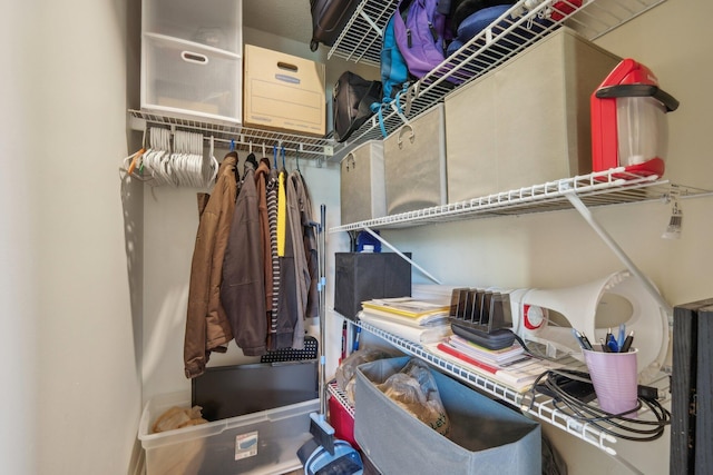 view of walk in closet