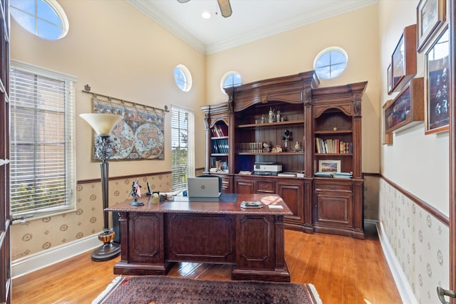 office space featuring ornamental molding, ceiling fan, and light wood-type flooring