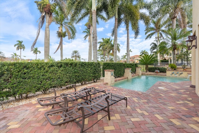 view of pool featuring a patio and pool water feature