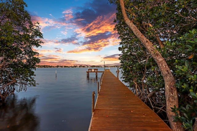 dock area featuring a water view