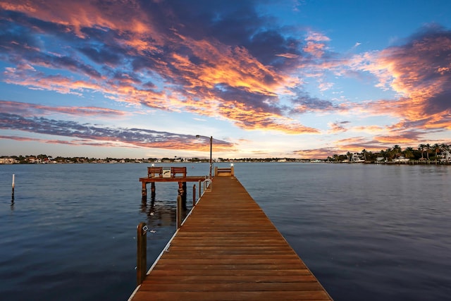 dock area with a water view