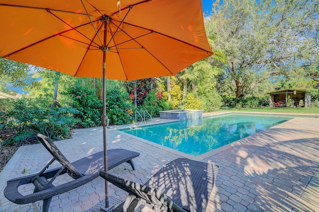 view of swimming pool with an in ground hot tub and a patio