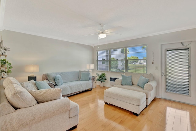 living room with light wood-type flooring, ceiling fan, and ornamental molding