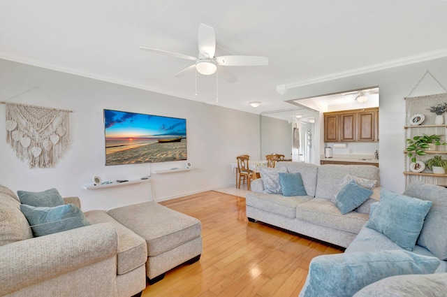 living room with ceiling fan, light wood-type flooring, and crown molding