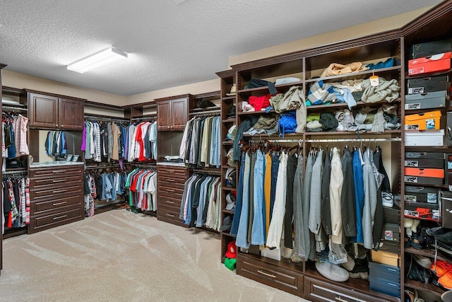 walk in closet with light carpet